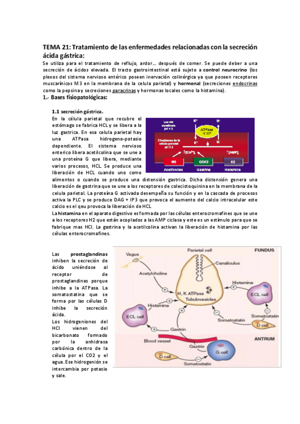 Miniatura del documento Tema 21.pdf