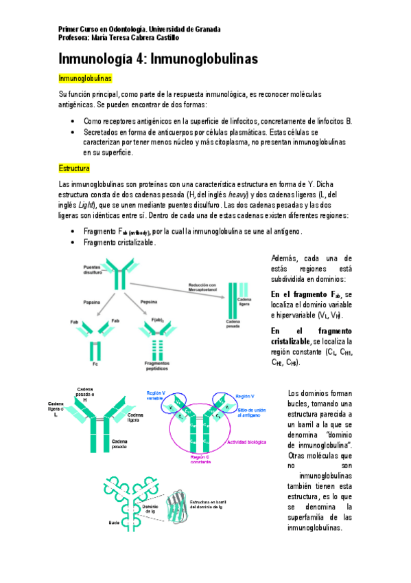 Miniatura del documento Inmunología 4. Inmunoglobulinas.pdf