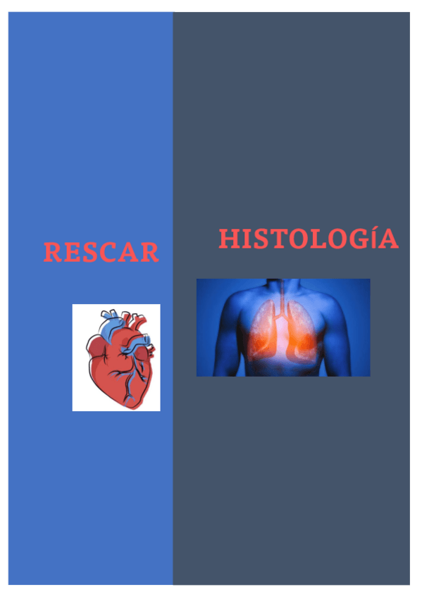 Miniatura del documento HISTOLOGIA-RESCAR con explicaciones.pdf