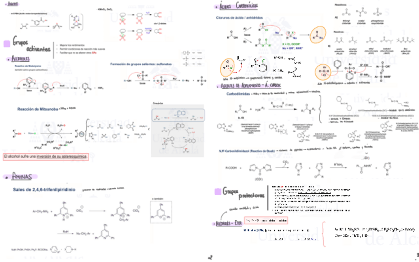 Miniatura del documento Resumen-Grupos-funcionales.pdf