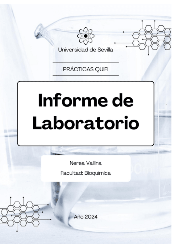 Miniatura del documento InformeQUIFI (nota 7,5).pdf