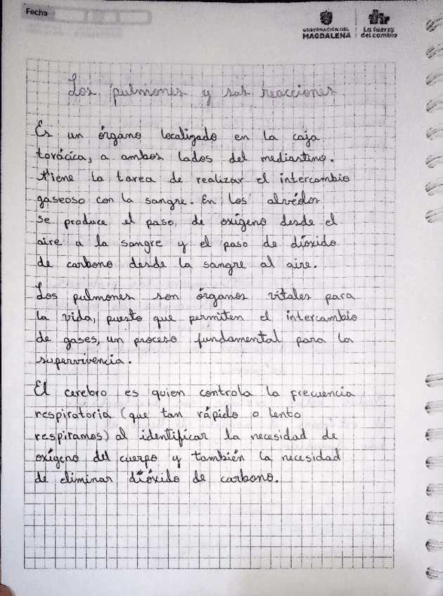 Miniatura del documento Los-Pulmones.pdf