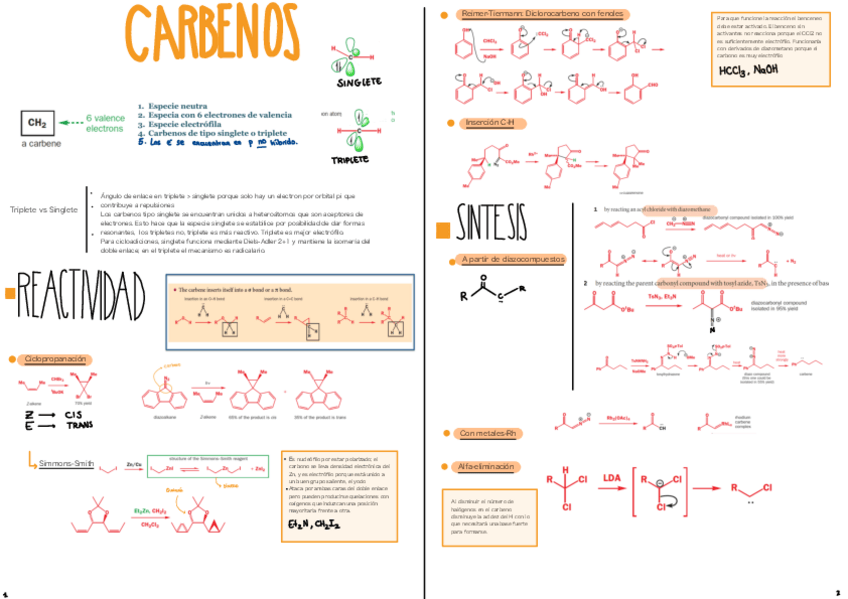 Miniatura del documento Carbenos- No se ve todo el contenido en previs!!!.pdf