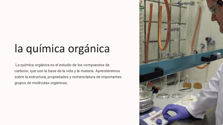Miniatura del documento la-quimica-organica.pdf