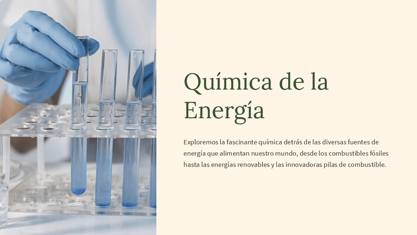 Miniatura del documento Quimica-de-la-Energia.pdf