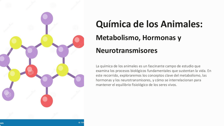 Miniatura del documento Quimica-de-los-Animales-Metabolismo-Hormonas-y-Neurotransmisores.pdf