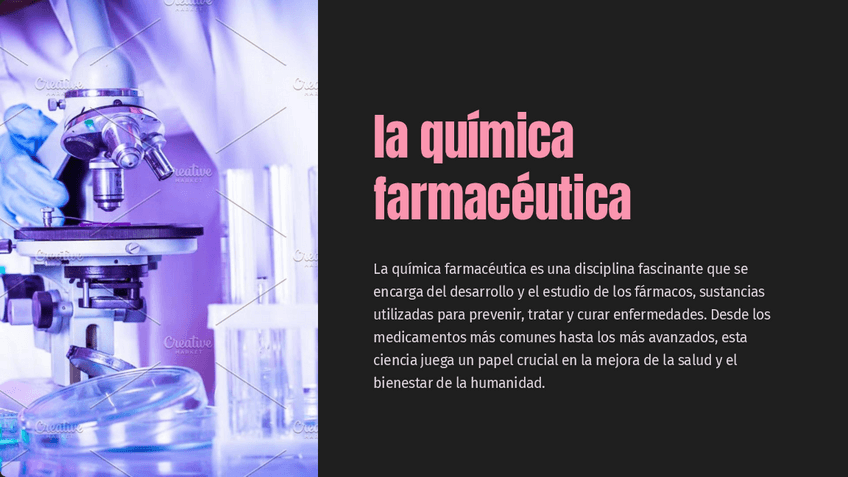 Miniatura del documento Introduccion-a-la-quimica-farmaceutica.pdf