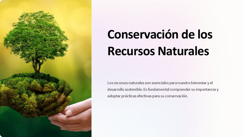 Miniatura del documento Conservacion-de-los-Recursos-Naturales.pdf