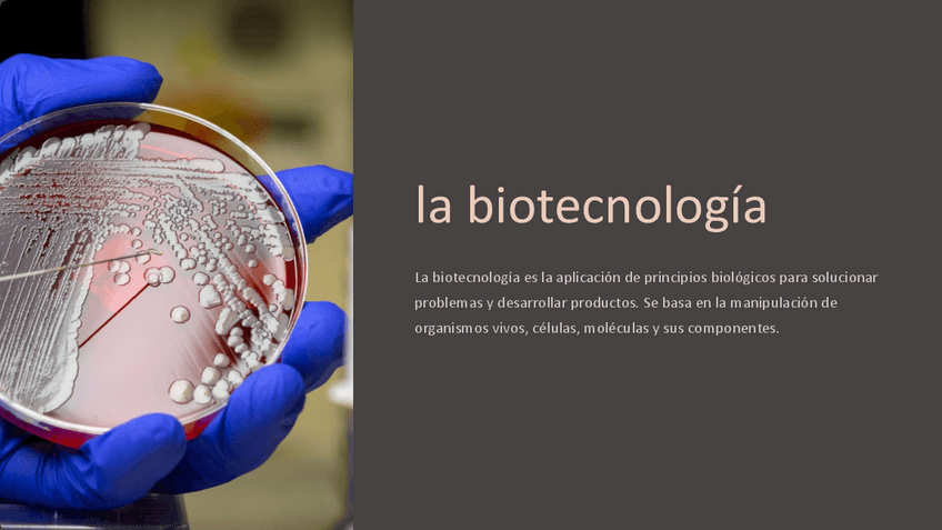 Miniatura del documento Introduccion-a-la-biotecnologia.pdf
