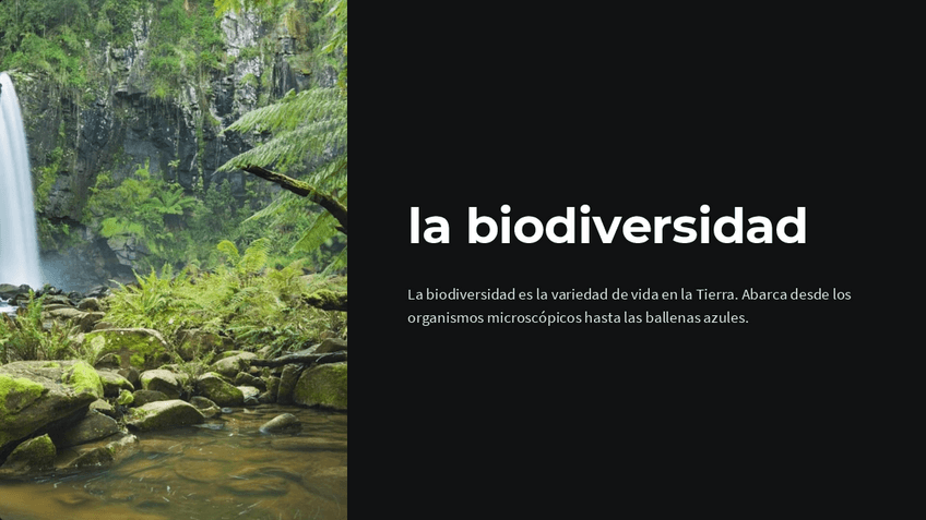 Miniatura del documento la-biodiversidad.pdf