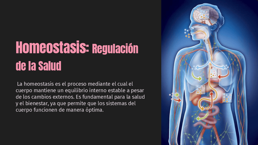 Miniatura del documento Homeostasis-Regulacion-de-la-Salud.pdf