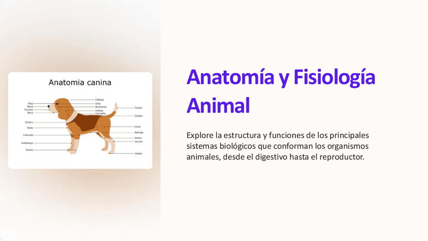 Miniatura del documento Anatomia-y-Fisiologia-Animal.pdf