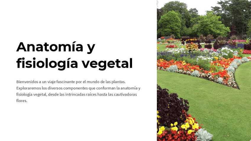 Miniatura del documento Anatomia-y-fisiologia-vegetal.pdf