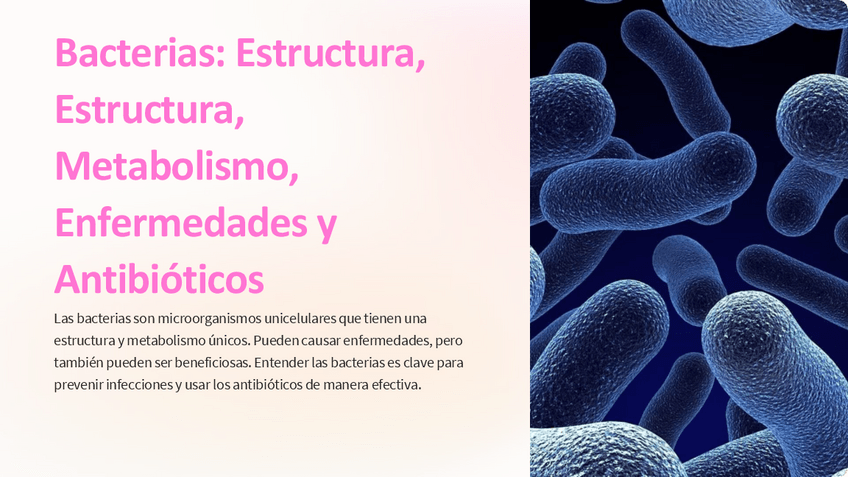 Miniatura del documento Bacterias-Estructura-Metabolismo-Enfermedades-y-Antibioticos.pdf