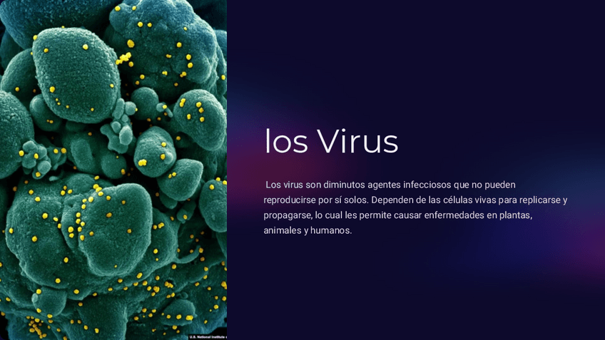 Miniatura del documento los-Virus.pdf