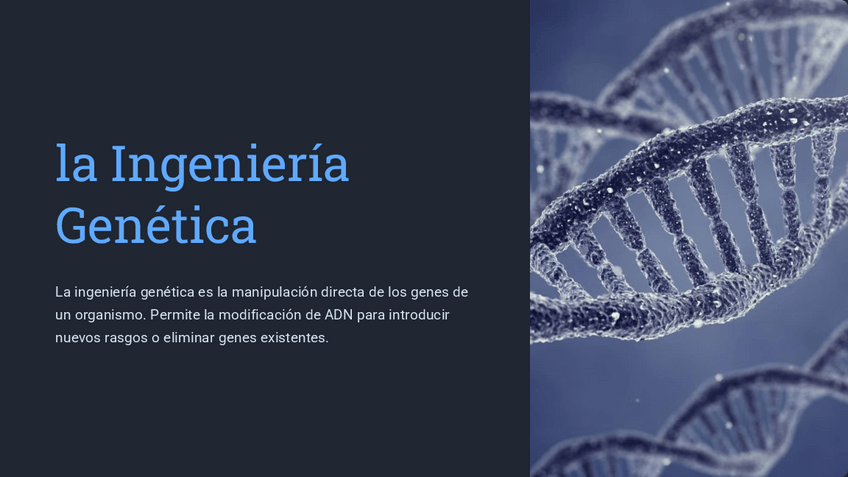 Miniatura del documento la-Ingenieria-Genetica.pdf