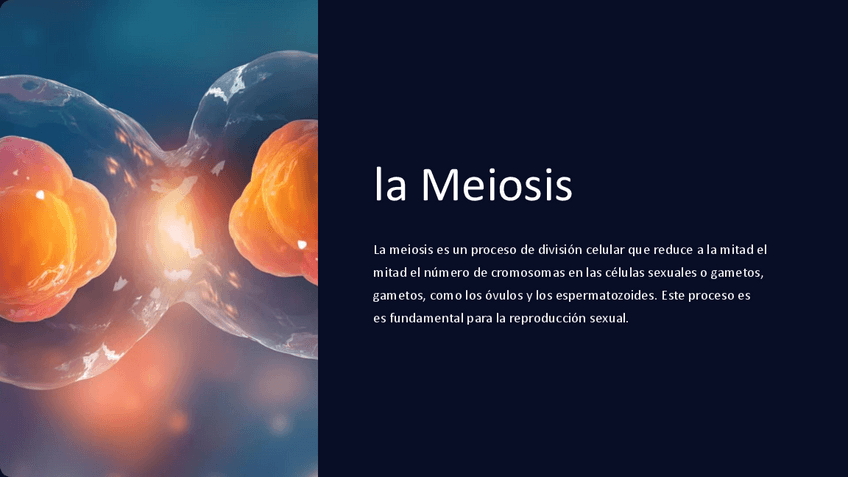 Miniatura del documento Introduccion-a-la-Meiosis.pdf
