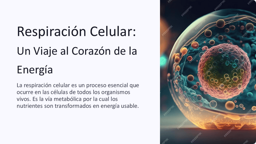 Miniatura del documento Respiracion-Celular-Un-Viaje-al-Corazon-de-la-Energia.pdf