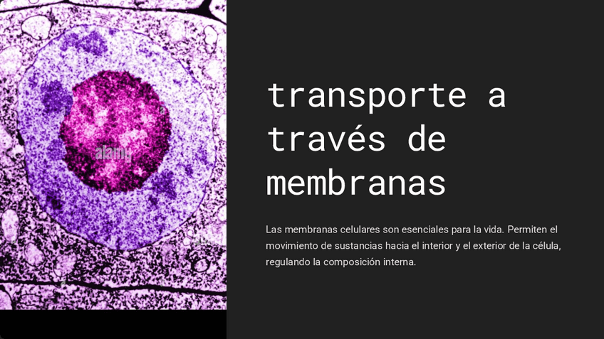 Miniatura del documento transporte-a-traves-de-membranas.pdf
