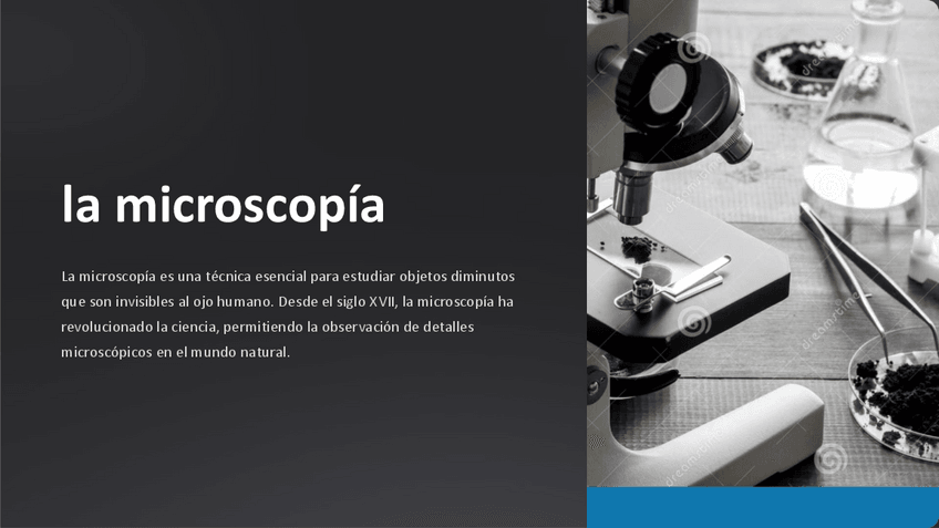 Miniatura del documento Introduccion-a-la-microscopia.pdf