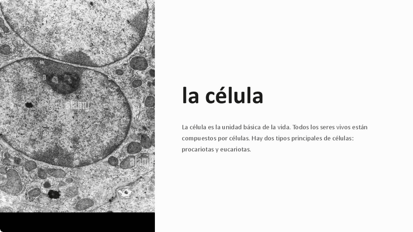 Miniatura del documento la-celula.pdf