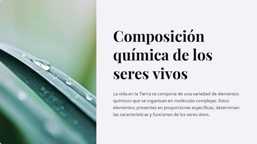 Miniatura del documento Composicion-quimica-de-los-seres-vivos.pdf