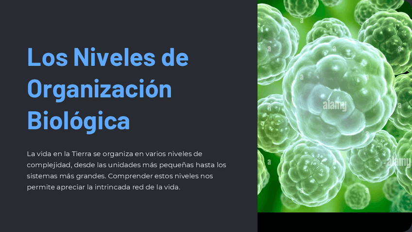 Miniatura del documento Los-Niveles-de-Organizacion-Biologica.pdf