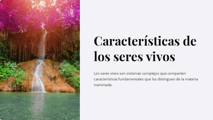 Miniatura del documento Caracteristicas-de-los-seres-vivos.pdf