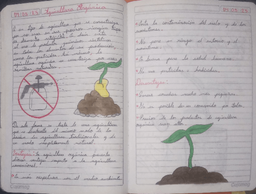 Miniatura del documento Agricultura-organica.pdf