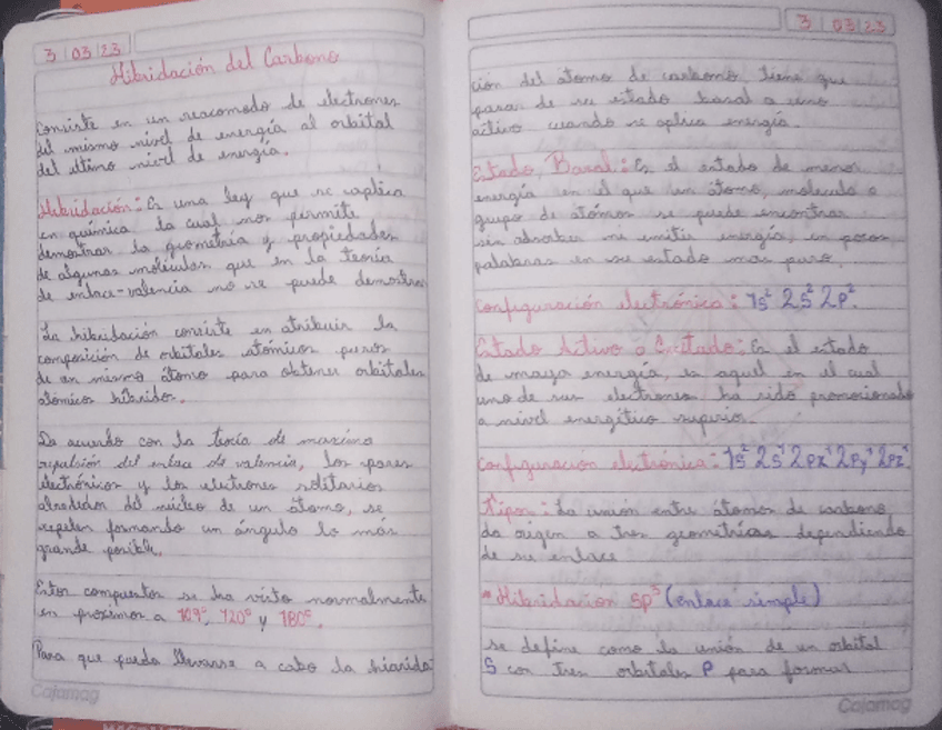 Miniatura del documento Quimica-organica.pdf