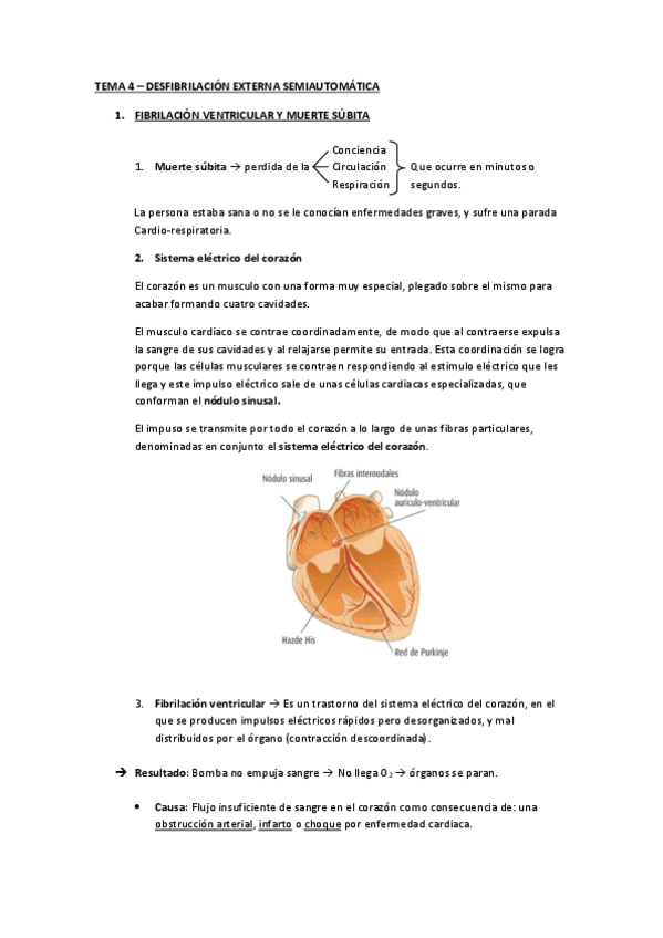 Miniatura del documento 1o-Aux.-Tema-4.pdf