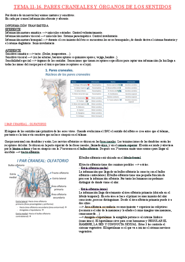 Miniatura del documento 2o-PARCIAL.pdf