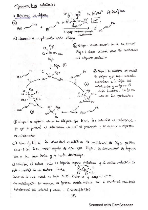 Miniatura del documento ciclos-cataliticos-QI-II.pdf