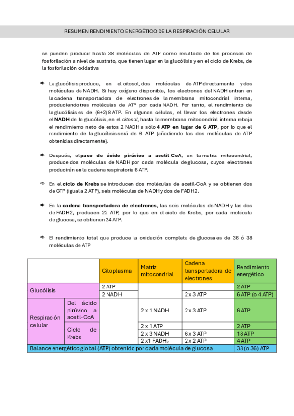 Miniatura del documento Resumen Rendimiento energético de la Respiración aerobia de la glucosa.pdf