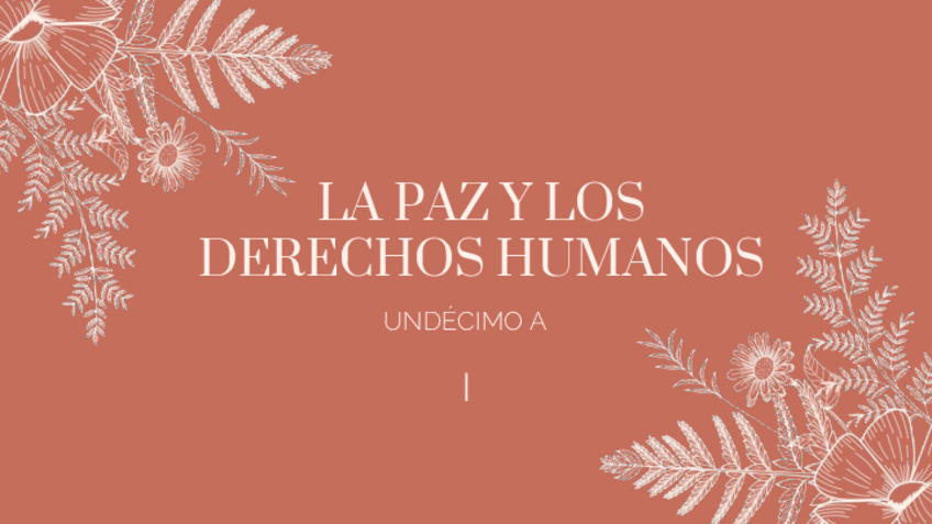 Miniatura del documento La-paz-y-los-derechos-humanos.pdf