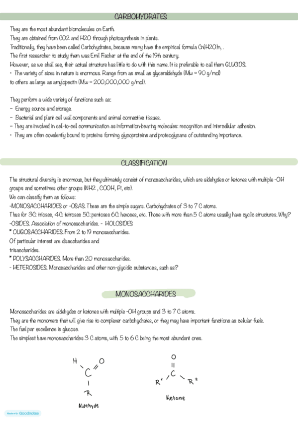 Miniatura del documento Carbohydrates.pdf