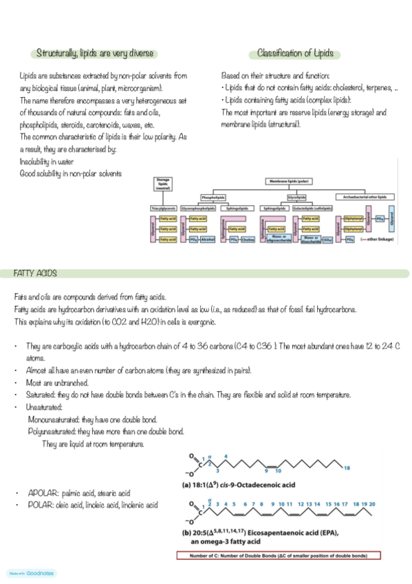 Miniatura del documento Lipids.pdf