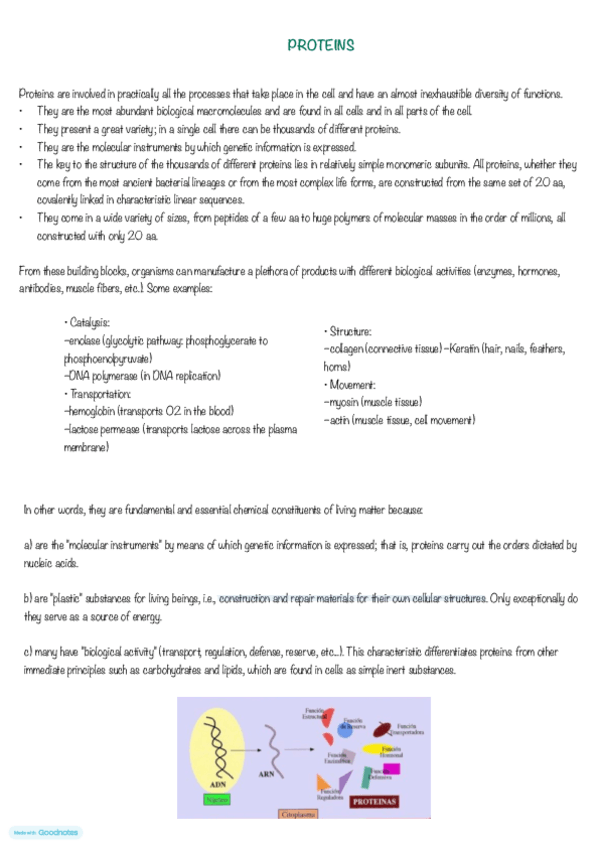 Miniatura del documento Proteins.pdf