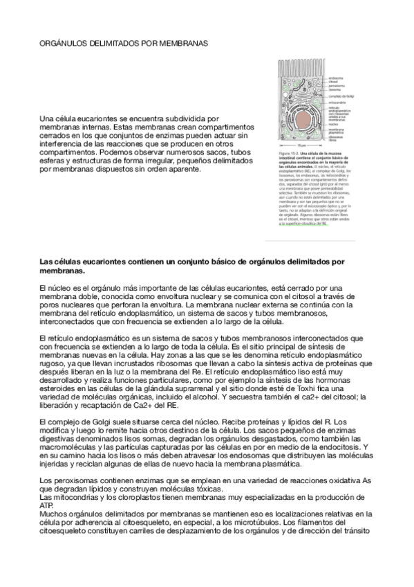Miniatura del documento Tema-15..pdf