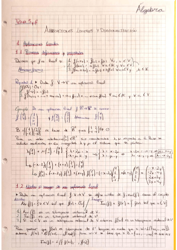 Miniatura del documento Resumen-Tema-5-6.pdf