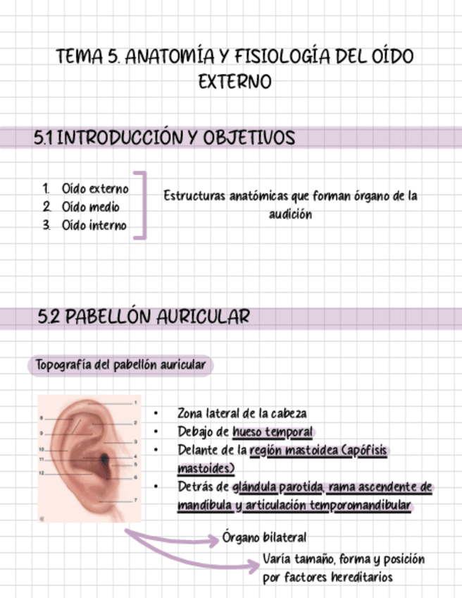 Miniatura del documento Tema-5-esquema.pdf