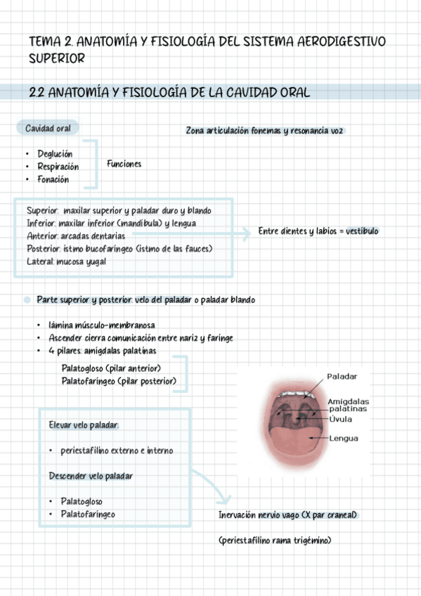 Miniatura del documento Tema-2-esquema.pdf
