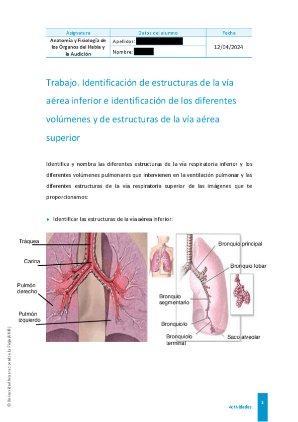 Miniatura del documento Actividad 1 - Identificación de estructuras de la vía aérea inferior e identificación de los diferentes volúmenes y de estructuras de la vía aérea superior.pdf