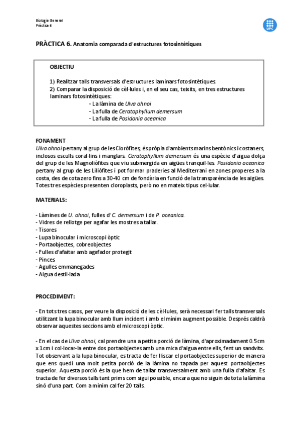 Miniatura del documento practica-6.pdf