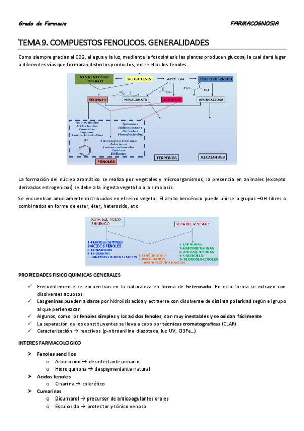 Miniatura del documento TEMA 9.pdf