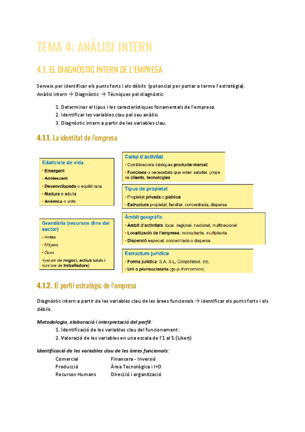 Miniatura del documento TEMA-4-DIAGNOSTIC-ESTRATEGIC-II.pdf