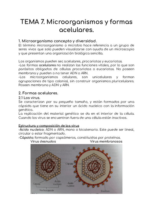 Miniatura del documento Resumen-Microorganismos-y-formas-acelulares.pdf