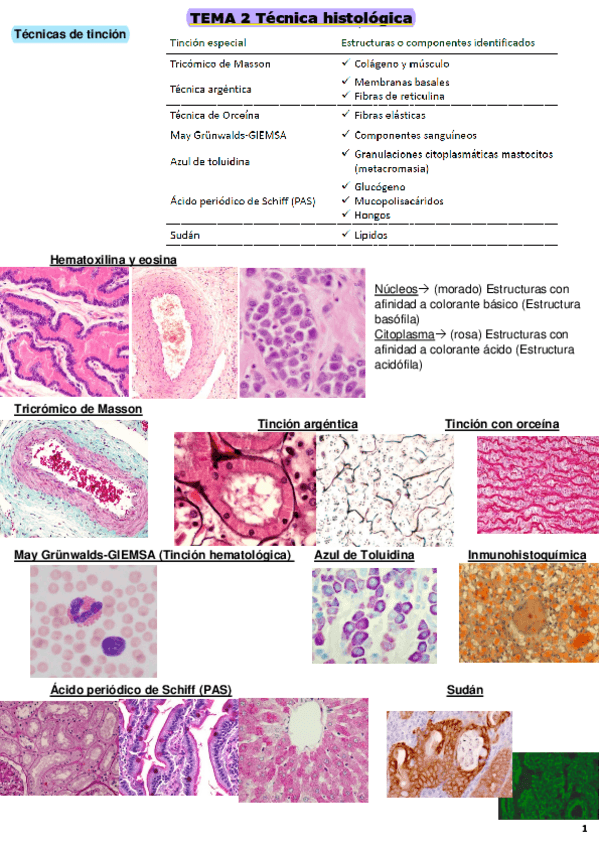 Miniatura del documento Imagenes-identificar-examen.pdf