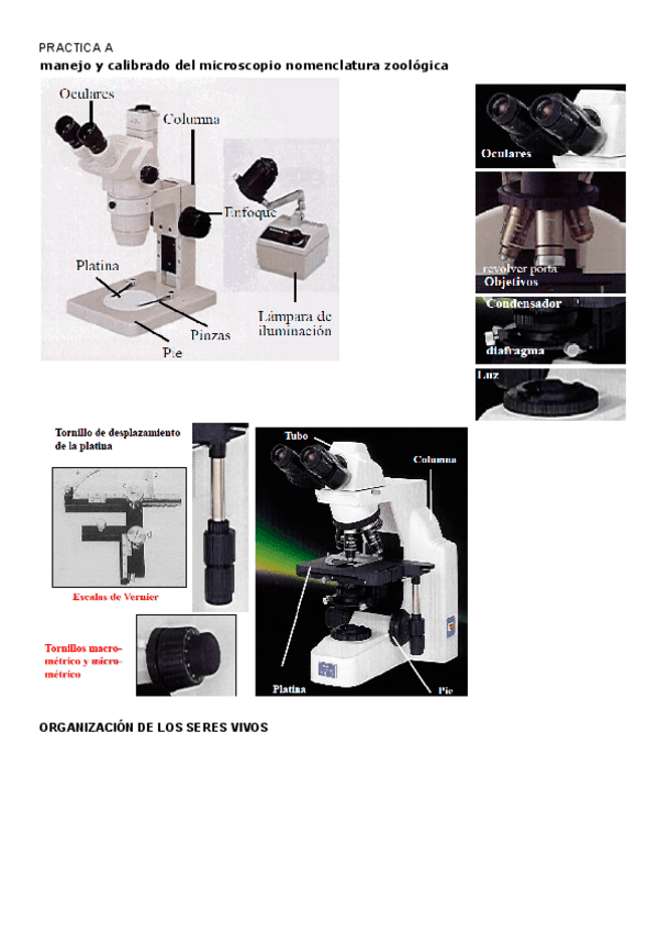 Miniatura del documento Examen-practico-resumen-completo.pdf