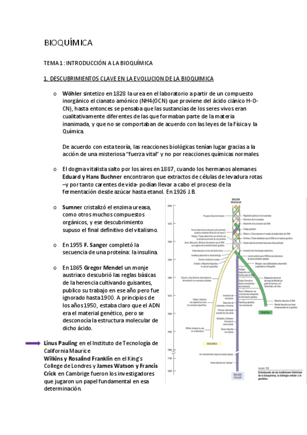 Miniatura del documento BIOQUIMICA-PRIMERA-PARTE.pdf